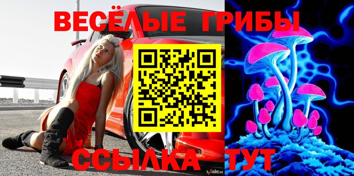 Галлюциногенные грибы прущие грибы Арзамас