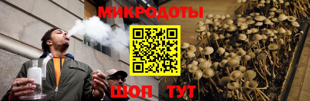 Галлюциногенные грибы Magic Shrooms  Вход с VPN  Арзамас 