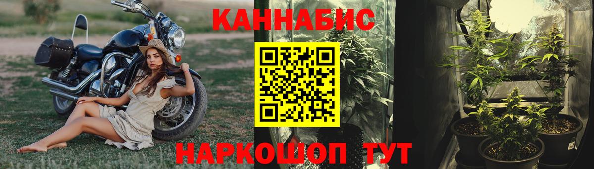 Шишки марихуана планчик  Каннабис AK-47  Вход с VPN  Арзамас  Бошки Шишки Amnesia 